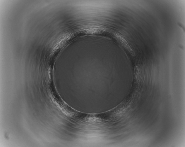 X0000100370590200806201630