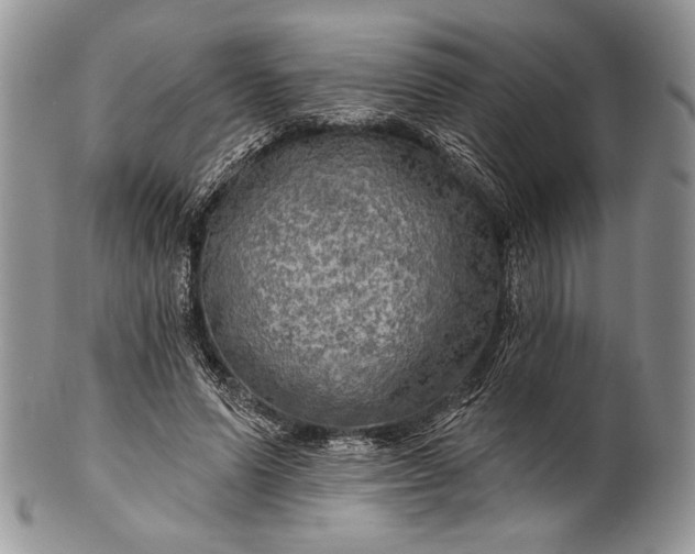 X0000100370591200806201630