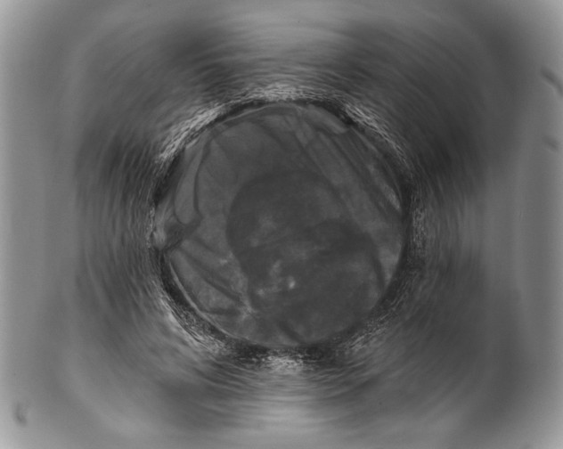 X0000100370592200806201630