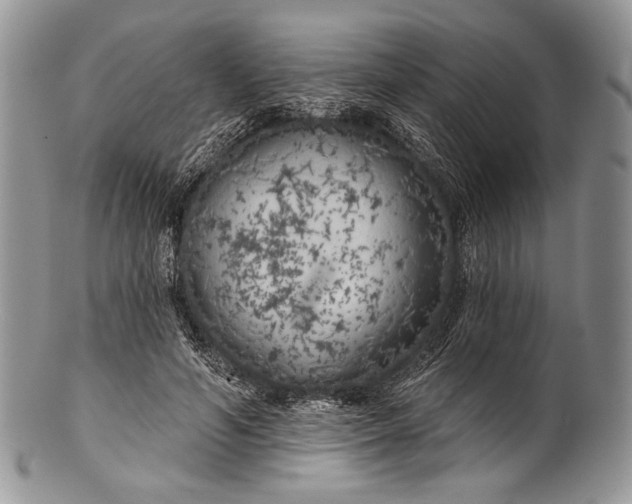 X0000100370594200806201630