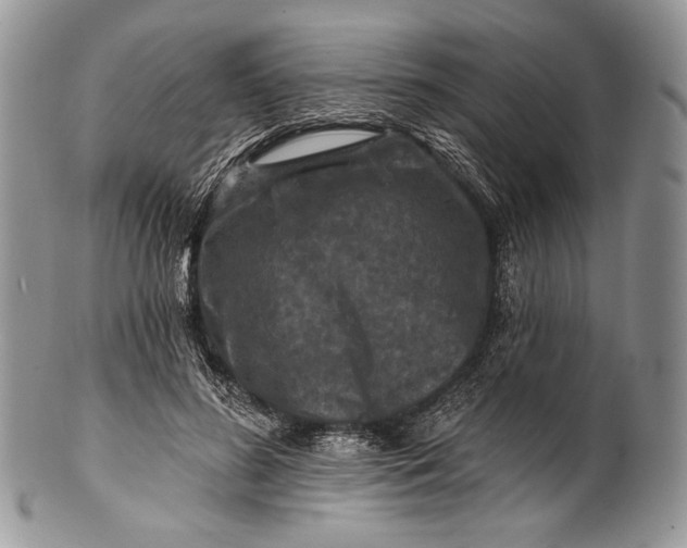 X0000100370596200806201629