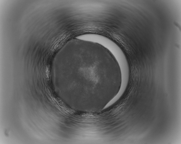 X0000100370597200806201629