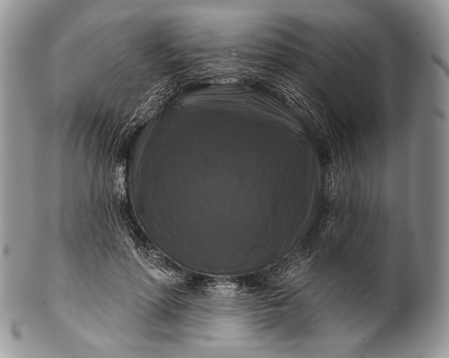 X0000100370598200806201629