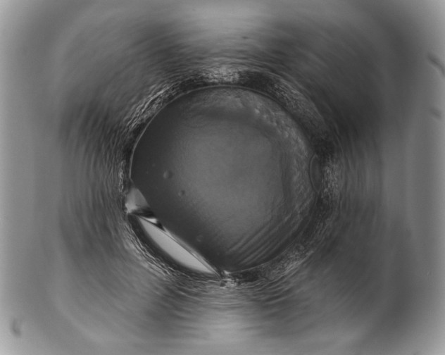 X0000100370600200806201629