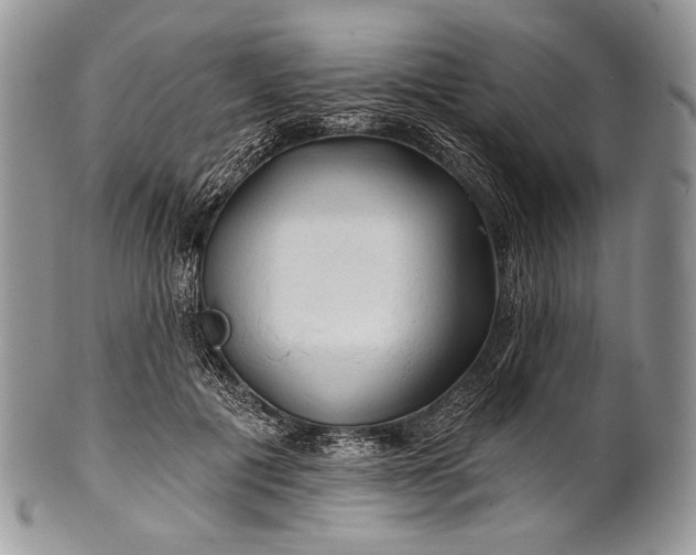 X0000100370601200806201629