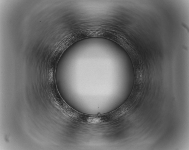 X0000100370602200806201629