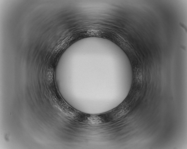 X0000100370603200806201629