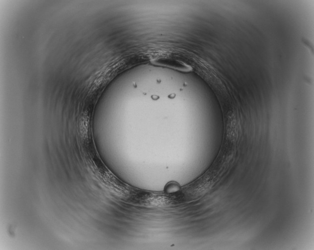 X0000100370604200806201629