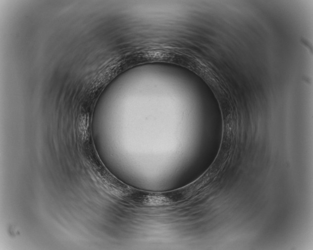 X0000100370605200806201629