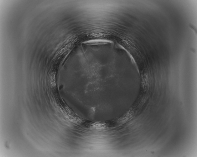 X0000100370606200806201629