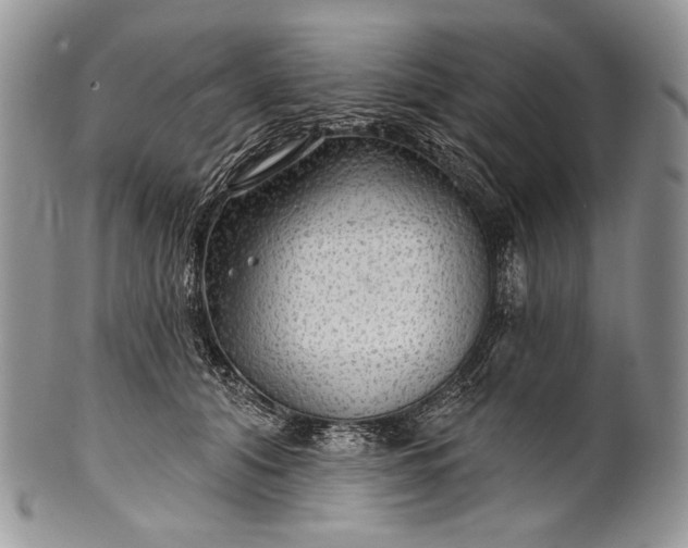 X0000100370608200806201629