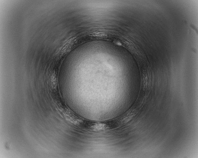 X0000100370609200806201629