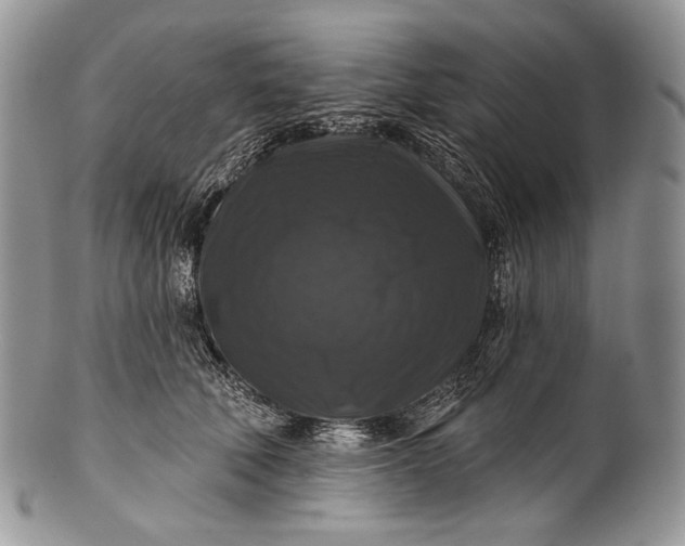 X0000100370610200806201629