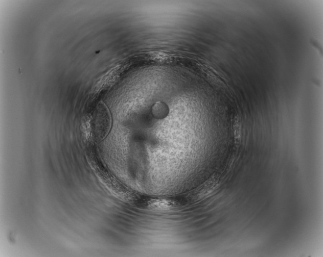 X0000100370611200806201629