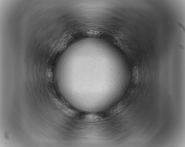 X0000100370614200806201629