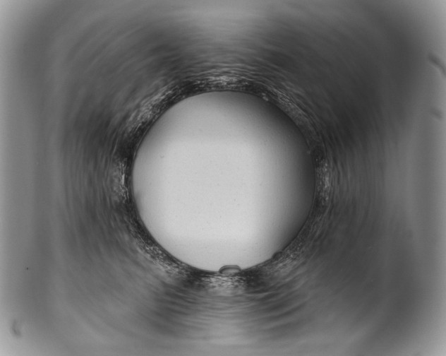 X0000100370615200806201629