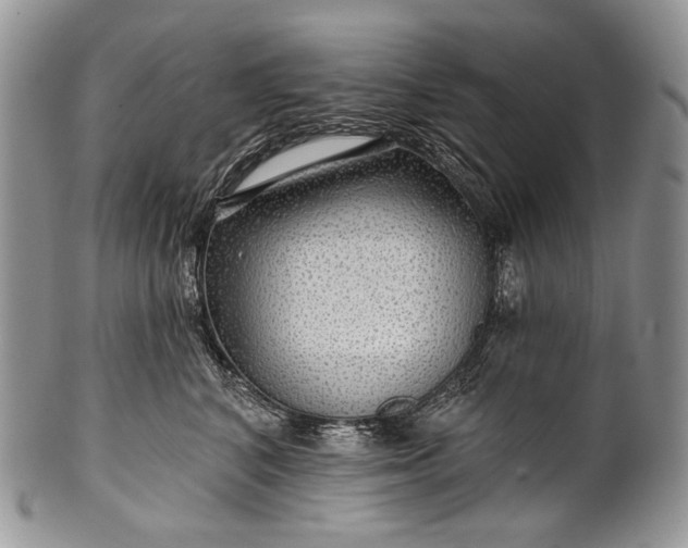 X0000100370616200806201629