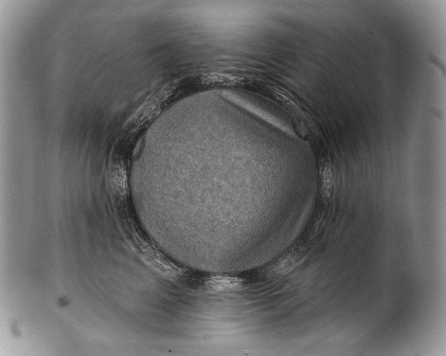 X0000100370617200806201629