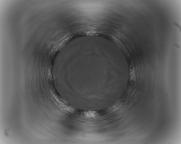 X0000100370618200806201629