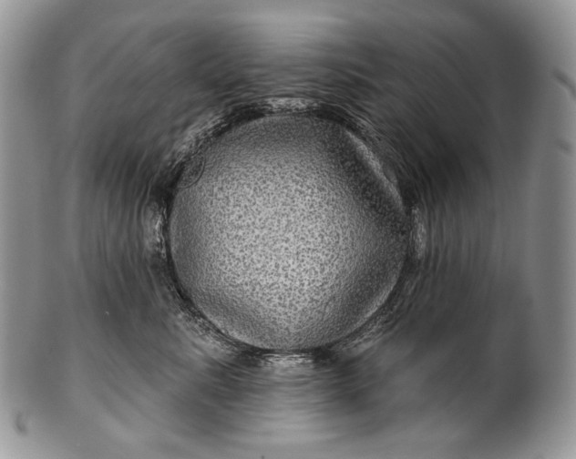 X0000100370619200806201629