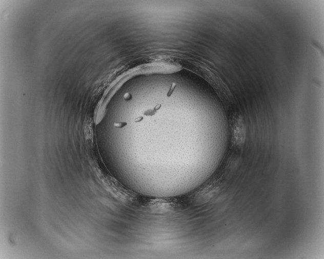 X0000100370620200806201629