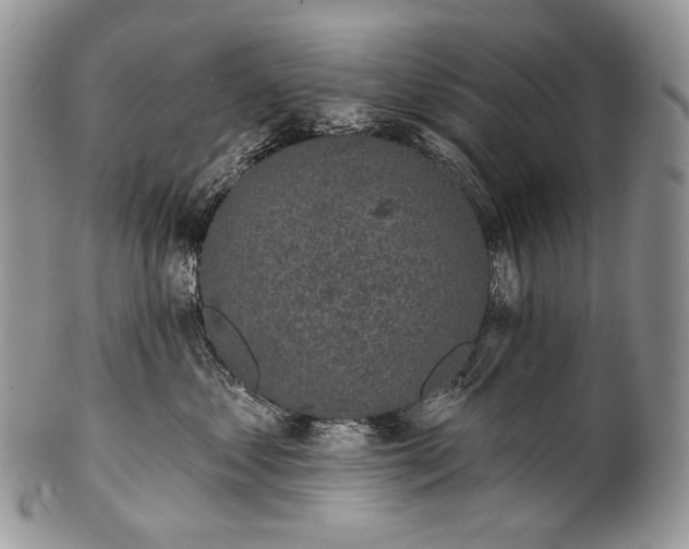 X0000100370621200806201629