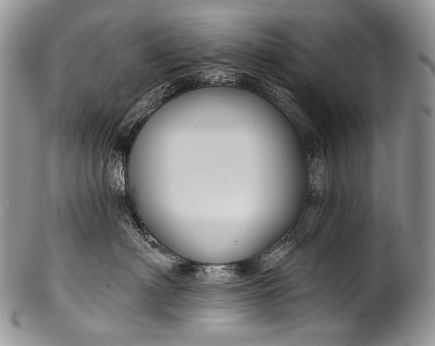 X0000100370622200806201629