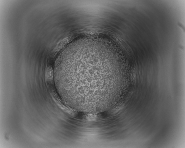 X0000100370623200806201629