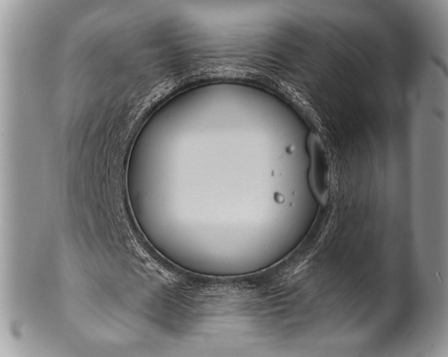 X0000100370625200806201628