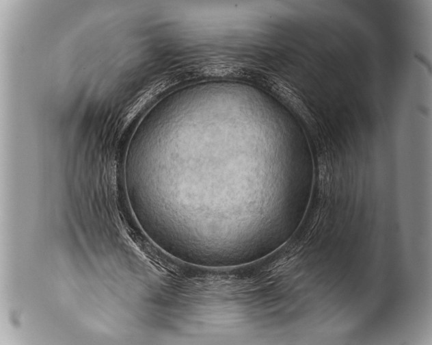 X0000100370626200806201628