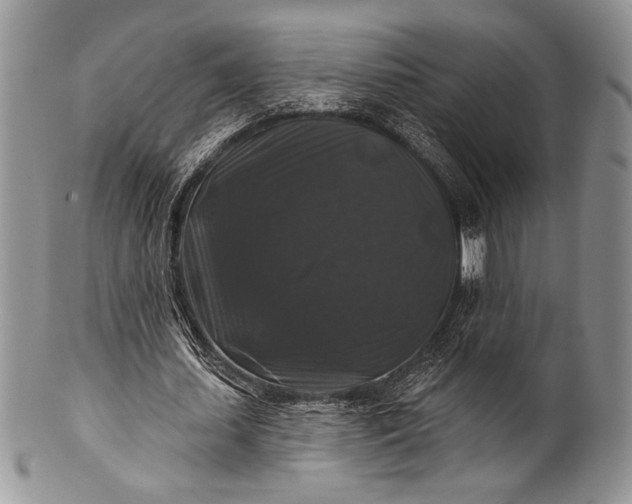 X0000100370627200806201628