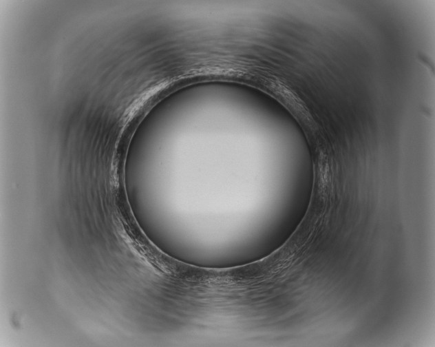 X0000100370628200806201628