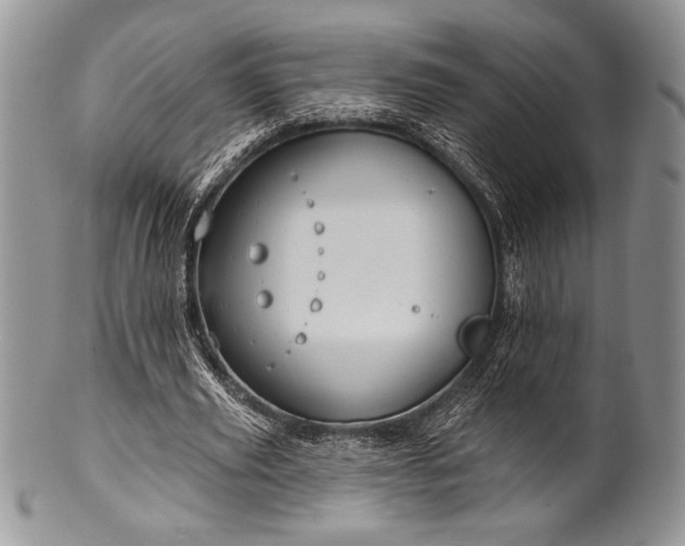 X0000100370629200806201628