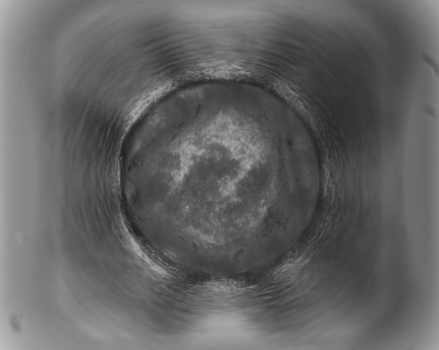 X0000100370630200806201628