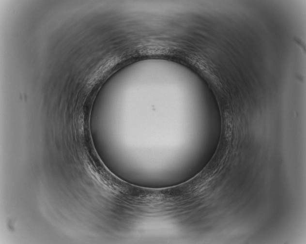 X0000100370631200806201628