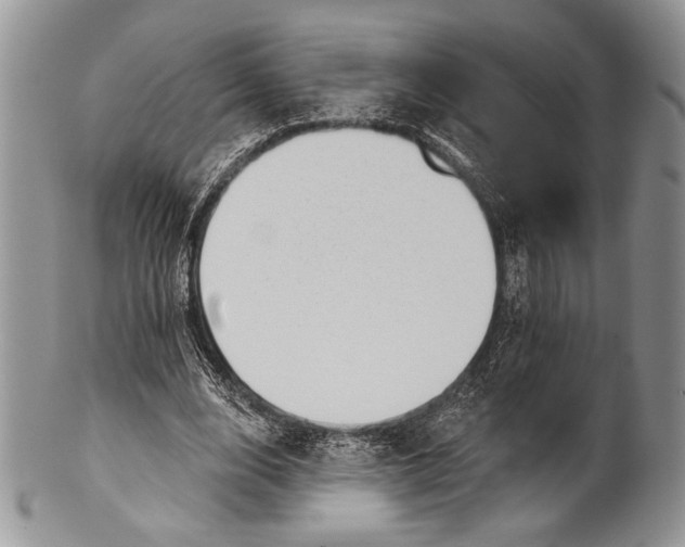 X0000100370632200806201628