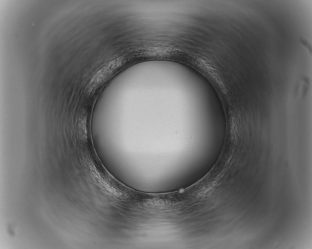 X0000100370633200806201628