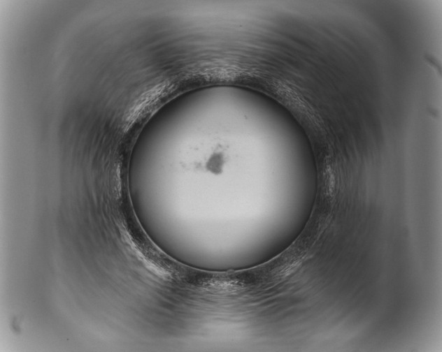 X0000100370638200806201629