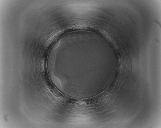 X0000100370640200806201629