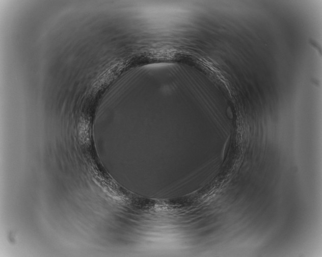 X0000100370641200806201629