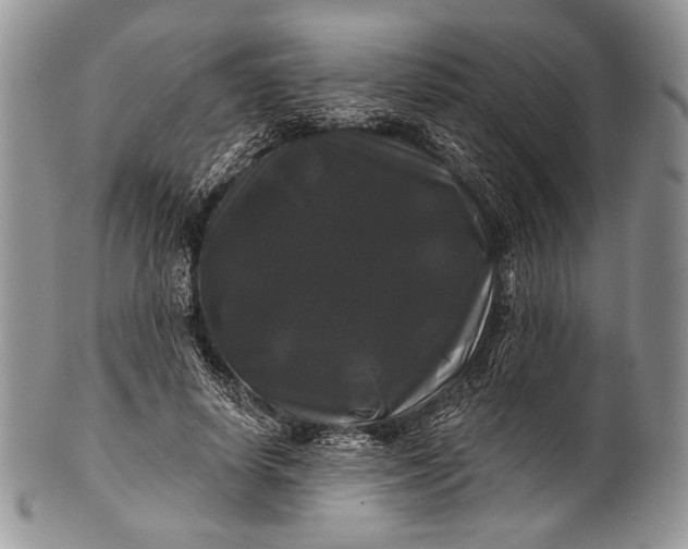 X0000100370642200806201629