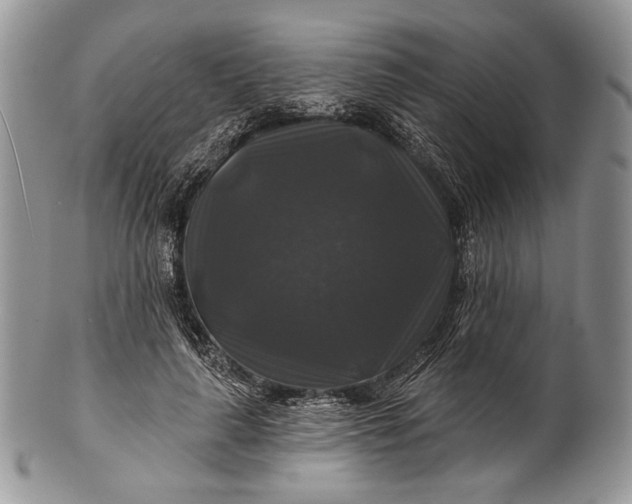 X0000100370643200806201629