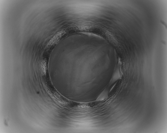 X0000100370644200806201629