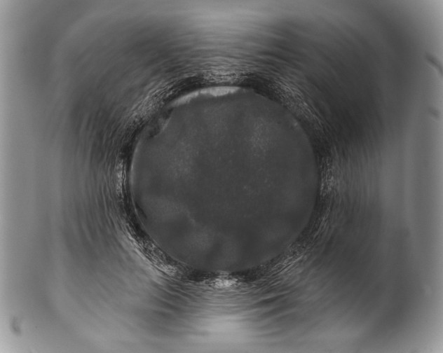 X0000100370647200806201629