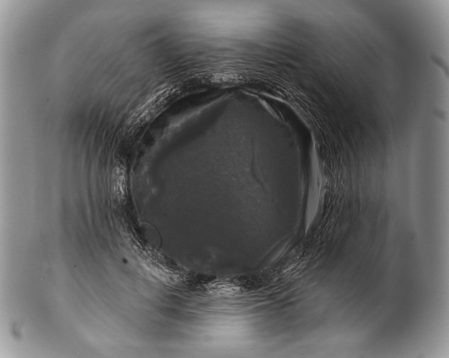 X0000100370648200806201629