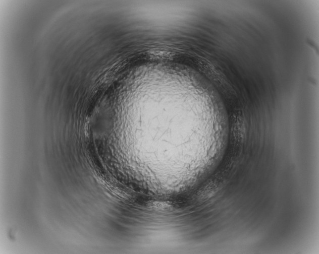 X0000100370649200806201629