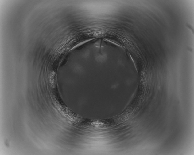 X0000100370650200806201629