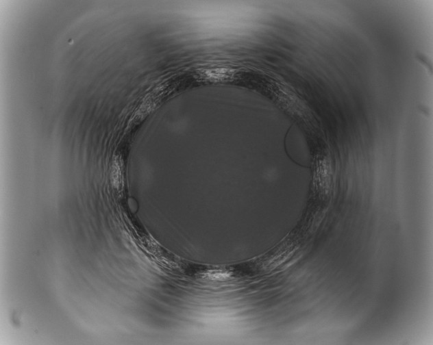 X0000100370651200806201629