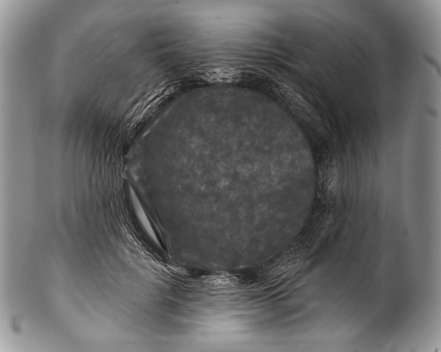 X0000100370652200806201629