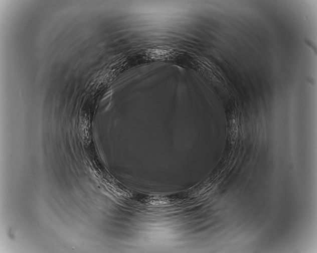 X0000100370653200806201629